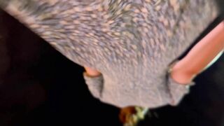 大神尾随跟拍两个逛夜市的极品学妹裙底 文静的外表穿骚丁露毛够反差性感的屁股蛋蛋