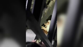 小情侣在楼梯间啪啪，男的太弱了没艹几下鸡巴就软了，给你机会不中用啊，放开她让我来！