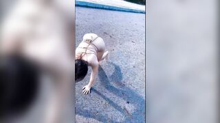 -强烈推荐】，顶级露脸小母狗【Lunana】推特5000元订阅福利①，露出喝尿调教啪啪，各种花样，玩花了.