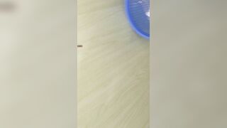 精品厕拍，大胆坑神藏身办公楼女厕，全方位偸拍超多小姐姐方便，拍各种大屁股2