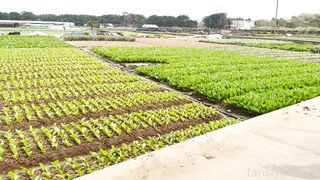 2025年新品，天花板露出狂人御姐【cikaimoon】无视路人，全裸下乡闲逛，露点给独居老人做饭8