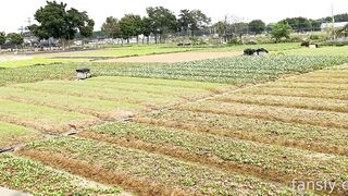 2025年新品，天花板露出狂人御姐【cikaimoon】无视路人，全裸下乡闲逛，露点给独居老人做饭8