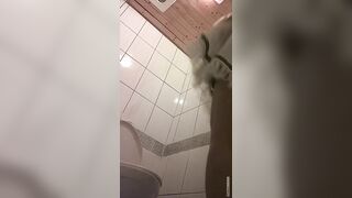 快餐店女厕真实偷拍，超多小姐姐方便，闷骚眼镜妹的豹纹透明内裤简直太撩人了0