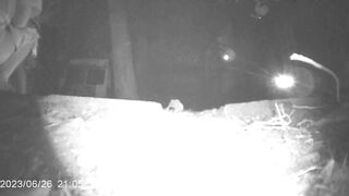 传说中的国产野外放尿神作两位姑娘光顾临路边老赵家大牌档嫌弃厕所太脏偷偷到停车场随地大小便活该被偷拍