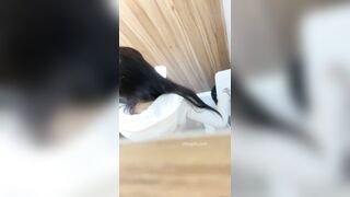 大神潜入办公楼女厕近距离抄底偷拍 5位美女同事的极品嫩鲍鱼