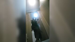 大神潜入购物中心女厕全景后拍❤️9位美女嘘嘘人美B嫩8