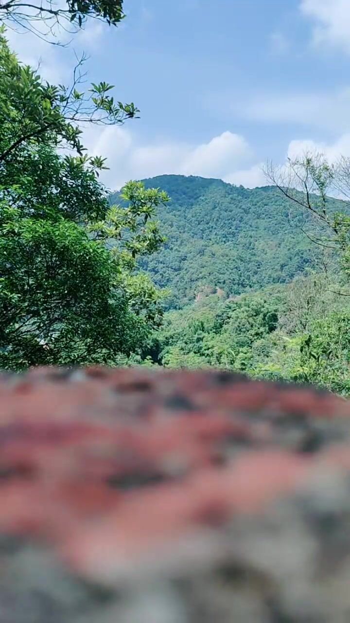 【露出勾引】：超骚女司机【不知天地】勾引乘客口交车震 野战 开房 超级骚，身材巨色，各种勾引乘客车震22