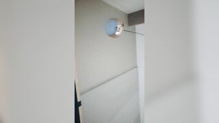 【露出勾引】：超骚女司机【不知天地】勾引乘客口交车震 野战 开房 超级骚，身材巨色，各种勾引乘客车震25