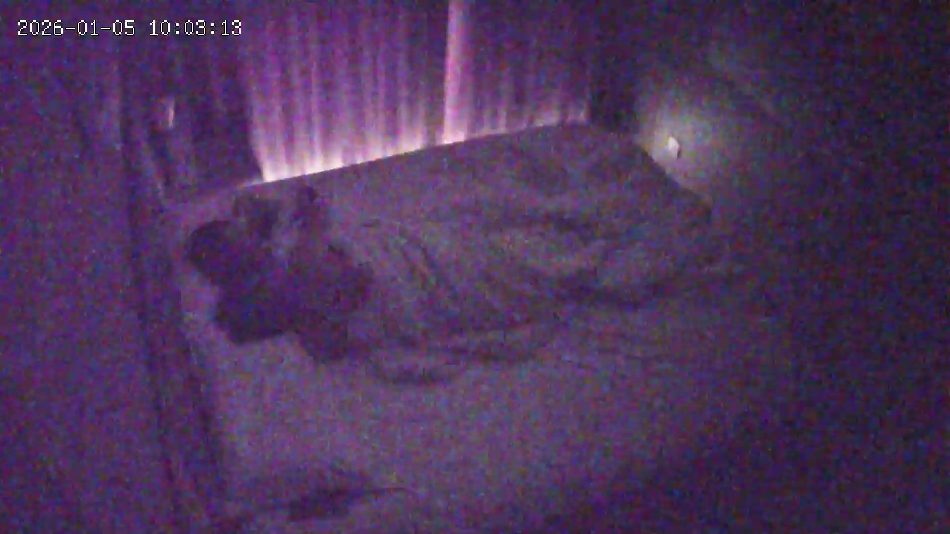 1-6流出酒店偷拍 性欲得不到满足的反差婊骚货女友喜欢趴在菜鸟男友身上腻歪调逗求操0