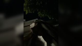 极品御姐户外大秀【林2004】餐厅厕所露天骚的很.2