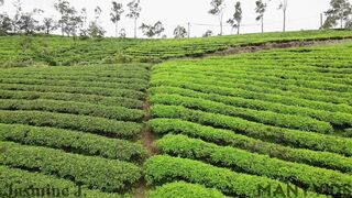 【野外露出】【JasmineJ9966】肛塞户外露出蹲在街角自慰时刻注意旁边有没有陌生人路过酒店大厅露出