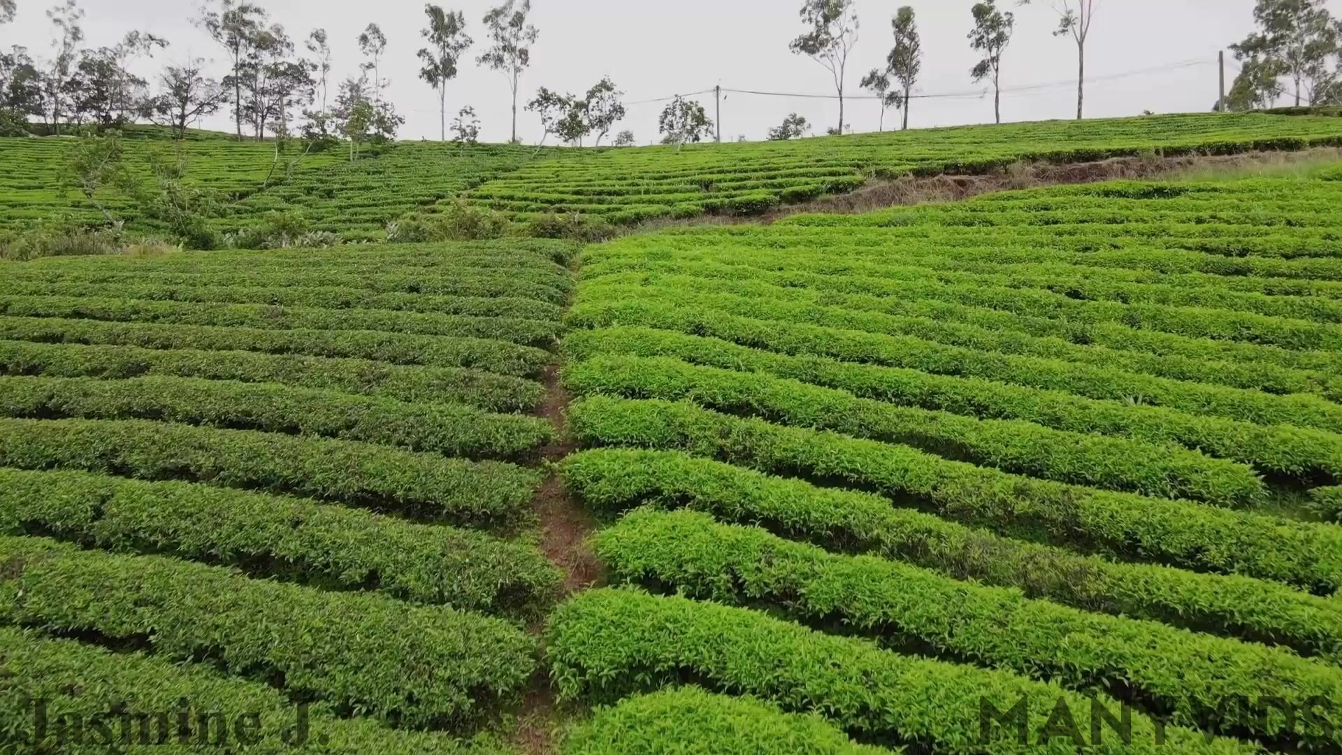 【野外露出】【JasmineJ9966】肛塞户外露出蹲在街角自慰时刻注意旁边有没有陌生人路过酒店大厅露出