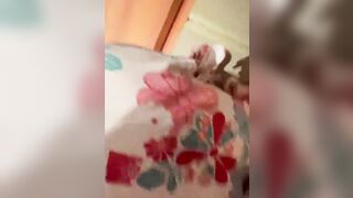 南京视觉艺术职业学院许雅菲黑历史被挖出 被富哥调教成性奴 卑贱口穴伺候肉棒 为了金钱践踏肉体