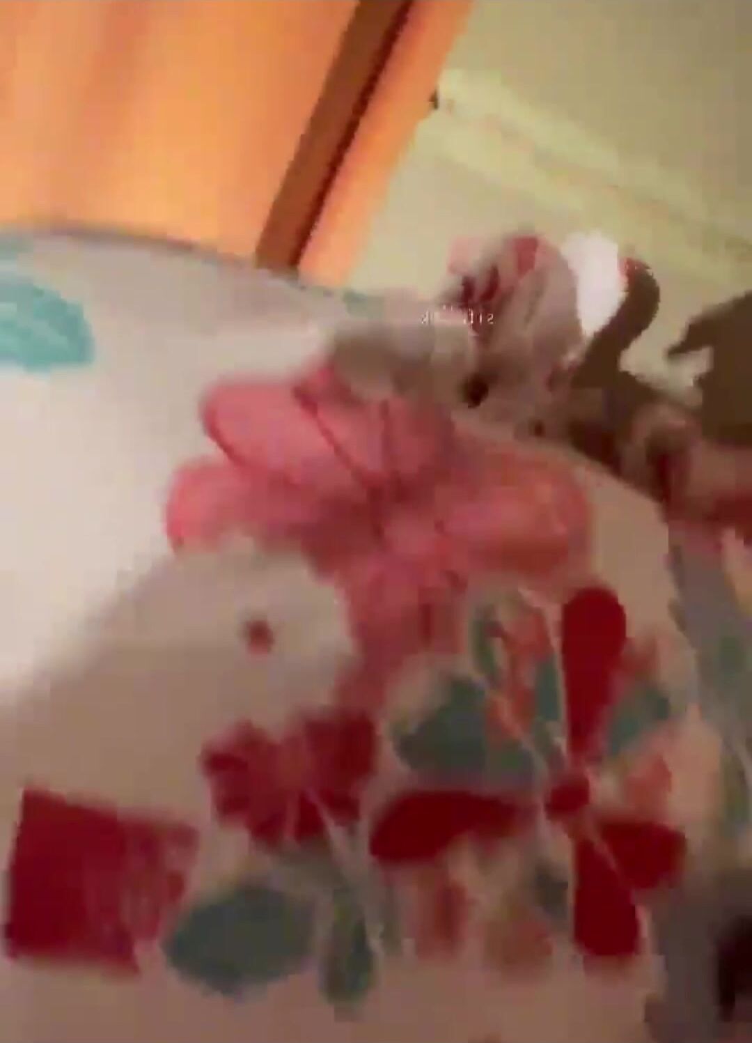 南京视觉艺术职业学院许雅菲黑历史被挖出 被富哥调教成性奴 卑贱口穴伺候肉棒 为了金钱践踏肉体