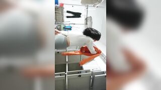 东北某野鸡大学澡堂子内部员工偷拍多位白白嫩嫩的学妹洗澡换衣服